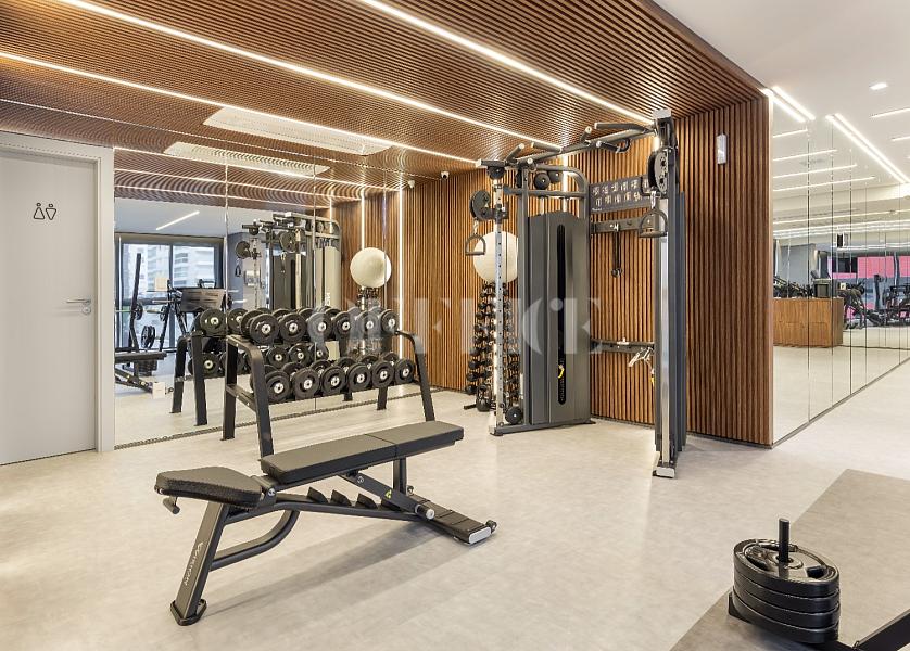 Timeless – O extraordinário que transcende o tempo — foto 52