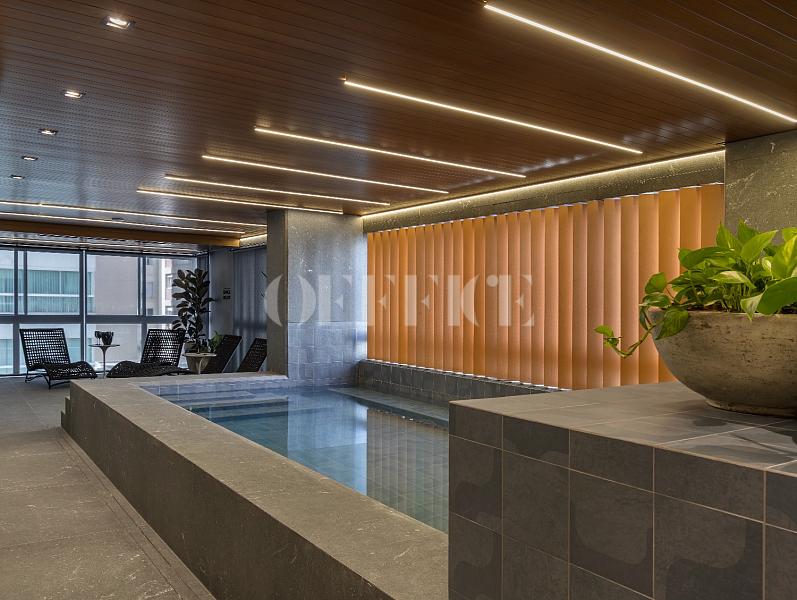 Timeless – O extraordinário que transcende o tempo — foto 50