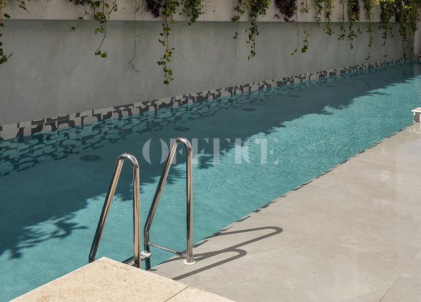 Timeless – O extraordinário que transcende o tempo — foto 28