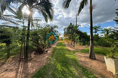 Sítio á venda Mogi Mirim.