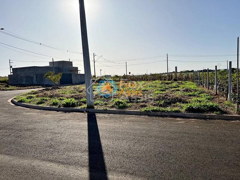 Jardim Itapuã — foto 3