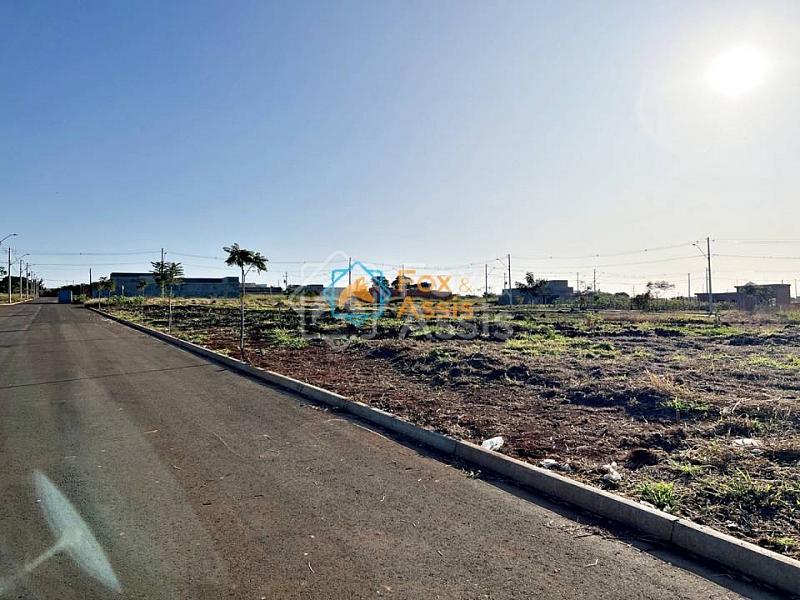 Terreno á venda Jardim Itapuã. — foto 3