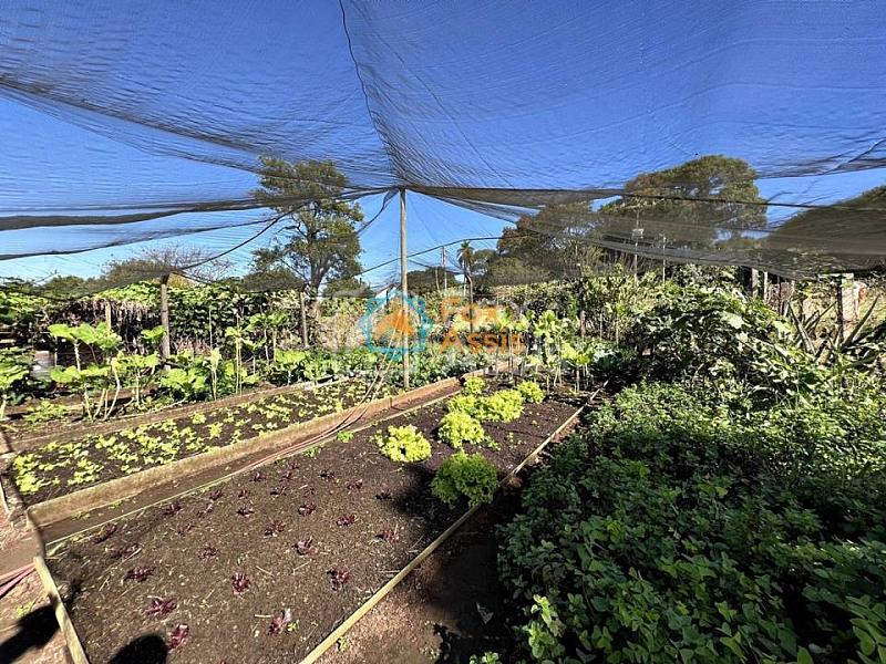 Sítio á venda  bairro Jaguari Limeira. — foto 6