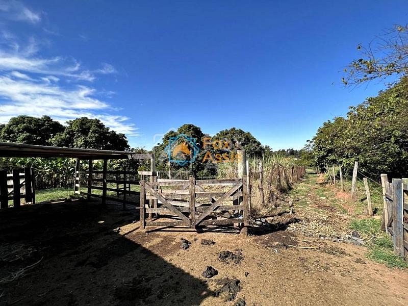 Sítio á venda  bairro Jaguari Limeira. — foto 3