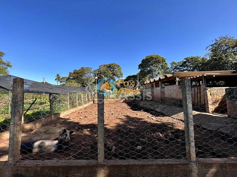 Sítio á venda  bairro Jaguari Limeira. — foto 11