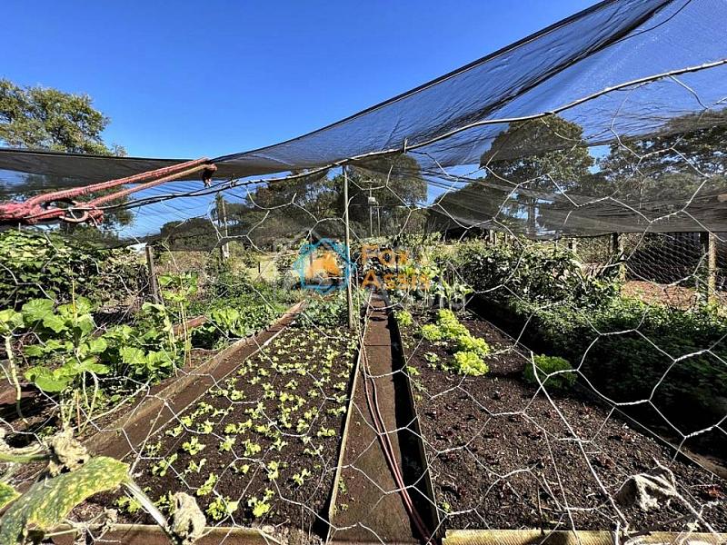 Sítio á venda  bairro Jaguari Limeira. — foto 5