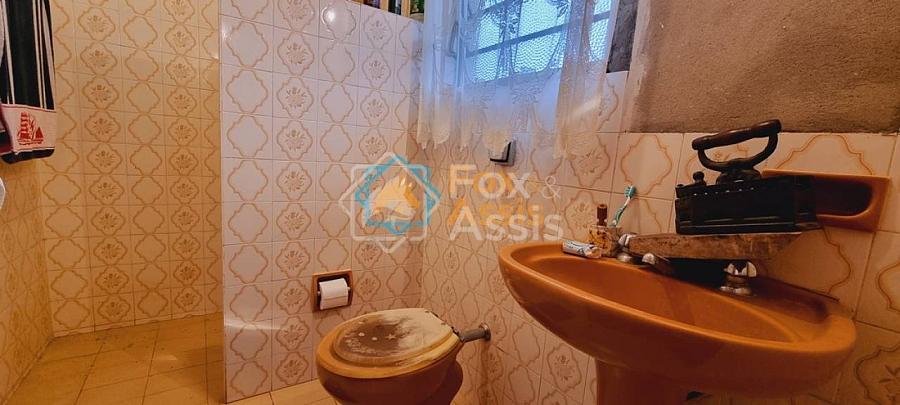 Bosque dos Ipês — foto 8