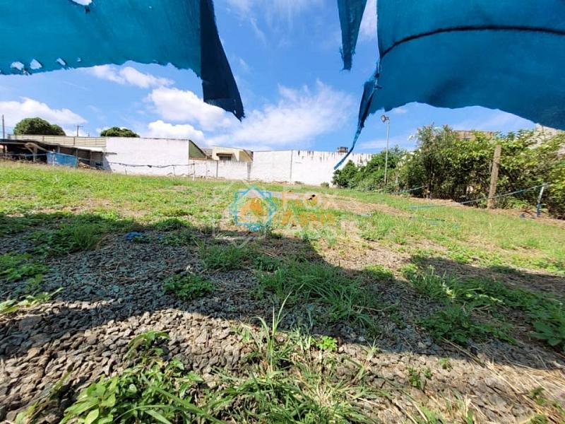 Vila Amorim — foto 6