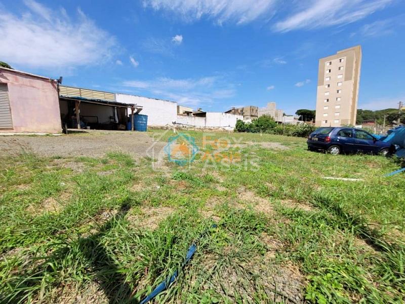 Vila Amorim — foto 5