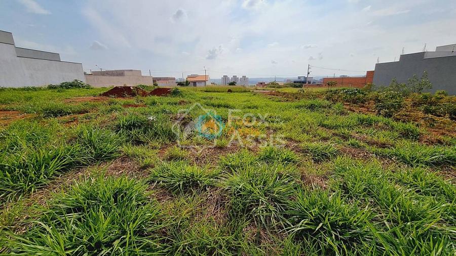 Jardim dos Manacás — foto 3