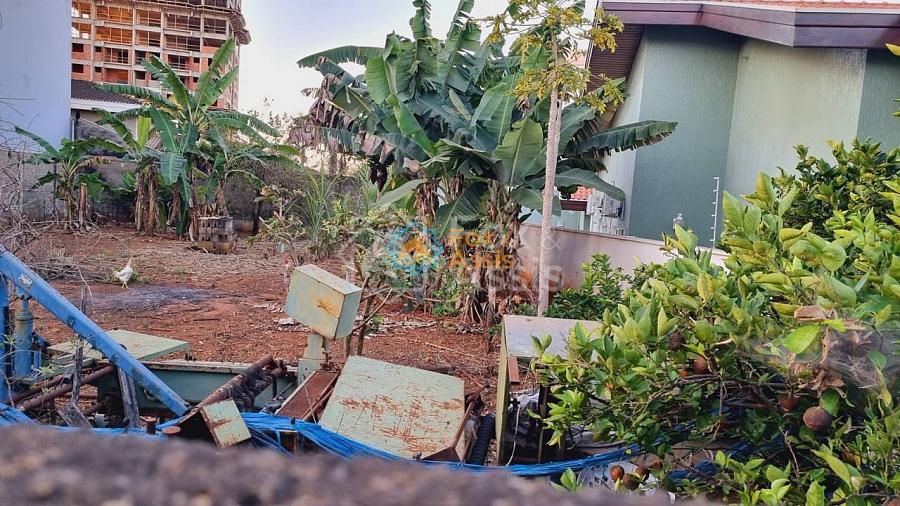 Jardim São José — foto 5