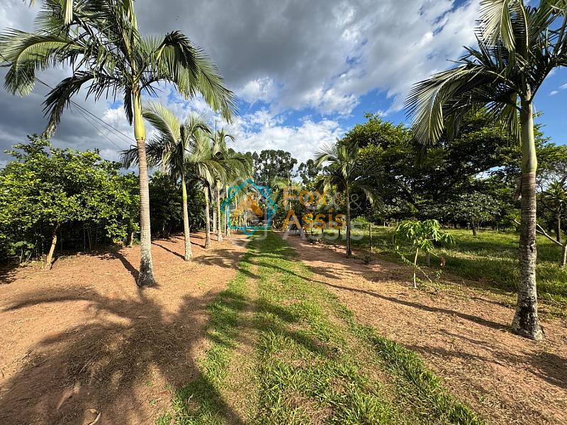 Sítio á venda Mogi Mirim. — foto 2