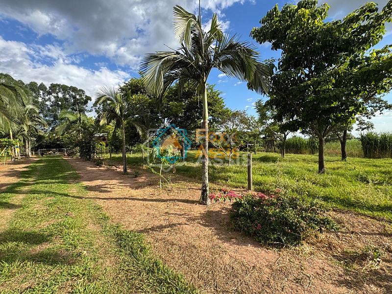 Sítio á venda Mogi Mirim. — foto 3