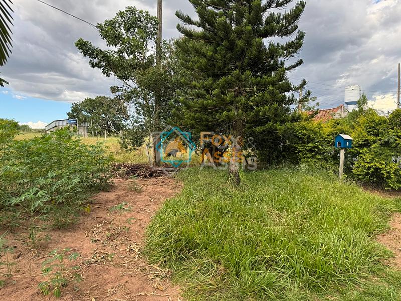 Sítio á venda Mogi Mirim. — foto 5