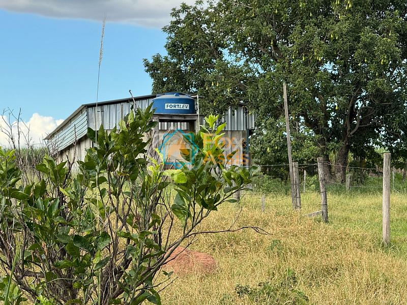 Sítio á venda Mogi Mirim. — foto 6