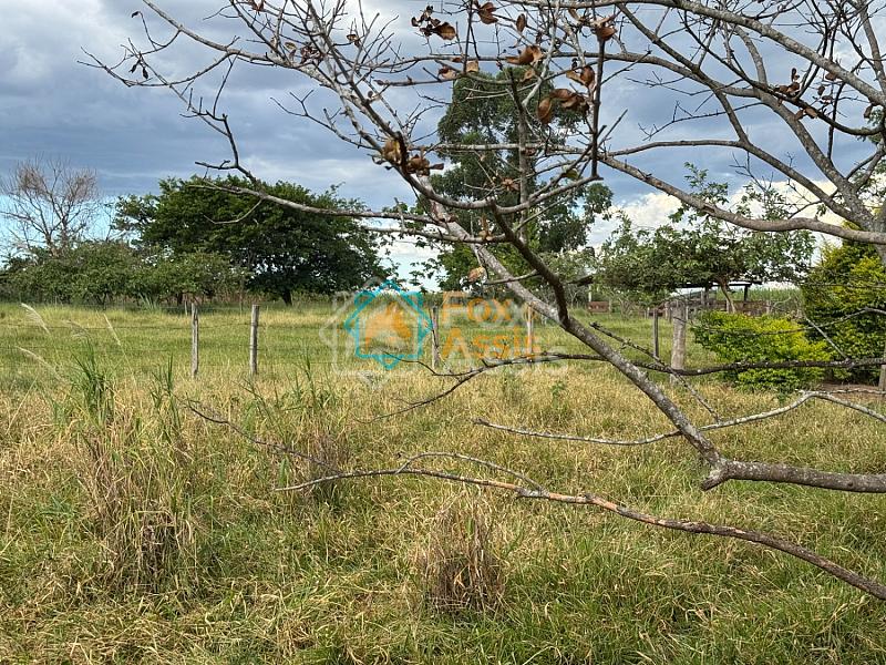 Sítio á venda Mogi Mirim. — foto 7