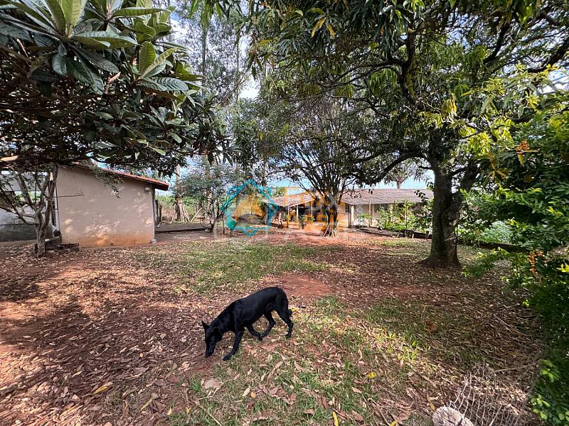 Sítio á venda Mogi Mirim. — foto 40