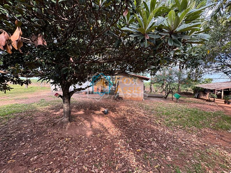 Sítio á venda Mogi Mirim. — foto 41