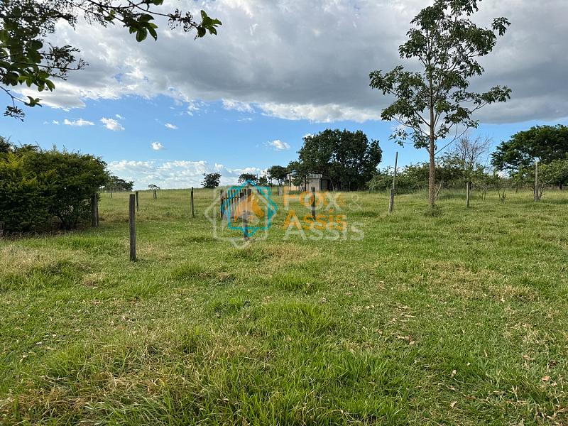 Sítio á venda Mogi Mirim. — foto 48