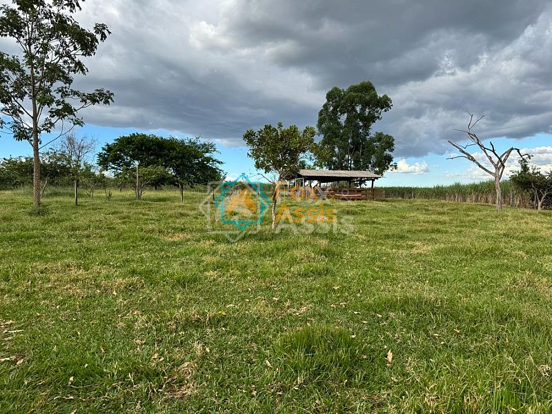 Sítio á venda Mogi Mirim. — foto 49