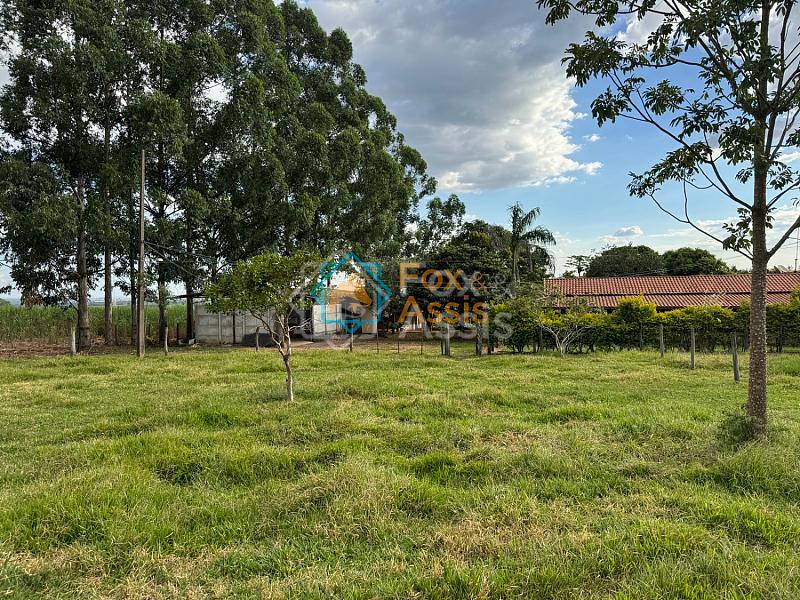 Sítio á venda Mogi Mirim. — foto 51