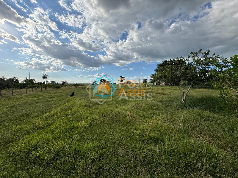 Sítio á venda Mogi Mirim. — foto 52