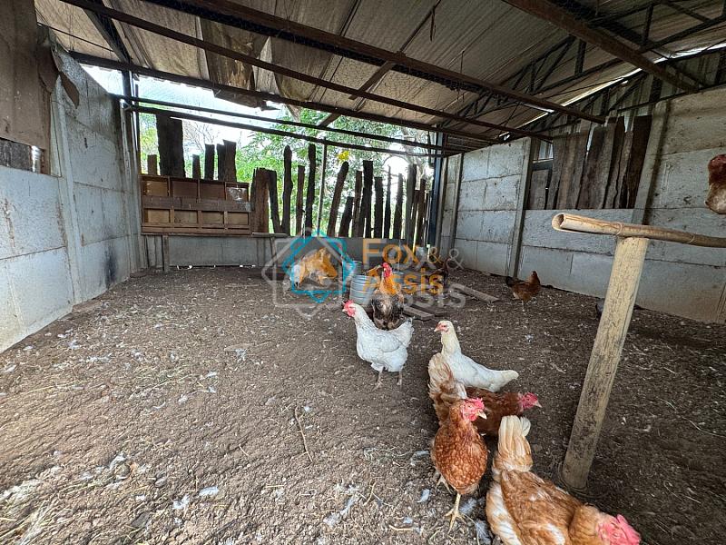 Sítio á venda Mogi Mirim. — foto 56