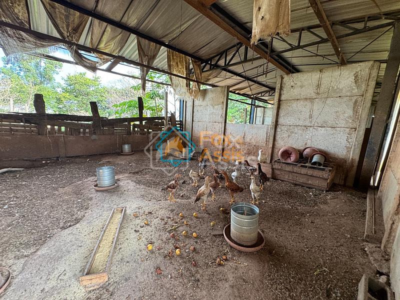 Sítio á venda Mogi Mirim. — foto 58