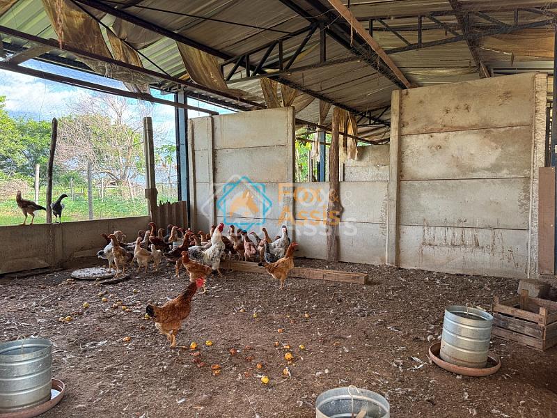 Sítio á venda Mogi Mirim. — foto 59