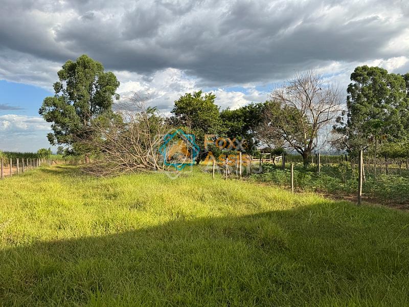 Sítio á venda Mogi Mirim. — foto 61