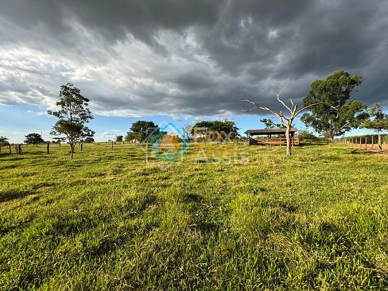Sítio á venda Mogi Mirim. — foto 65