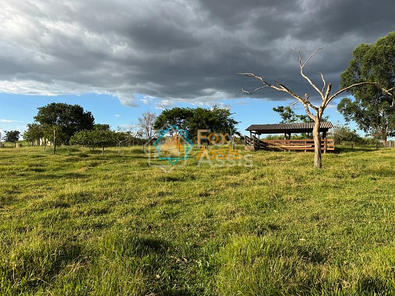 Sítio á venda Mogi Mirim. — foto 66