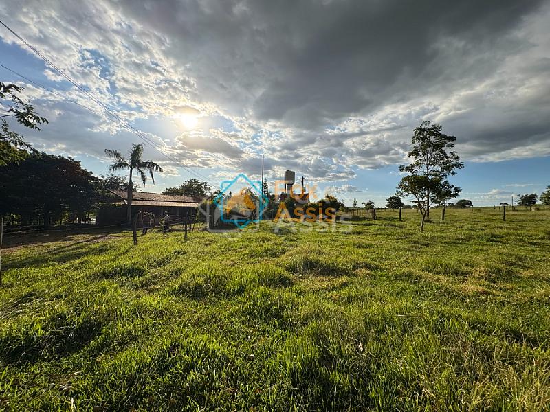 Sítio á venda Mogi Mirim. — foto 67