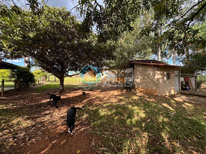 Sítio á venda Mogi Mirim. — foto 68