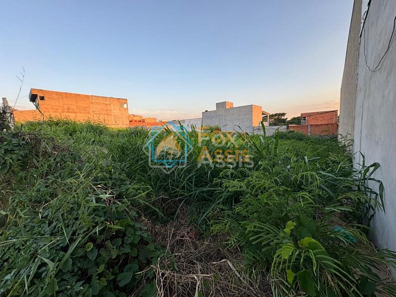 Terreno á venda Jardim dos Pinheiros. — foto 3