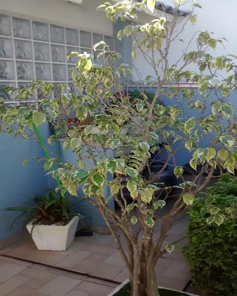 Terreno em Condom�nio Exclusivo no Ecoville, Porto Alegre-RS  144m� de �rea 8