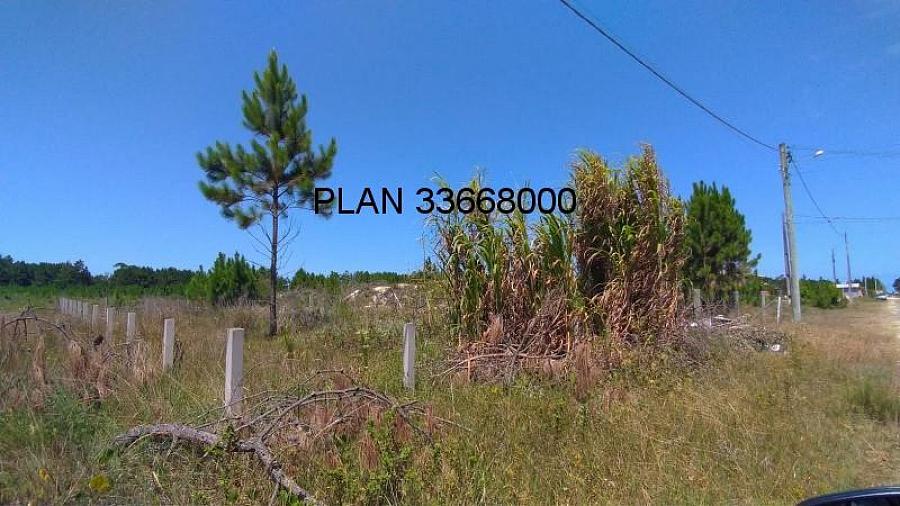 Terreno � venda em Passo de Torres-SC, bairro Bella Torres, com 360,00m� de �rea. Aproveite esta oportunidade! 1