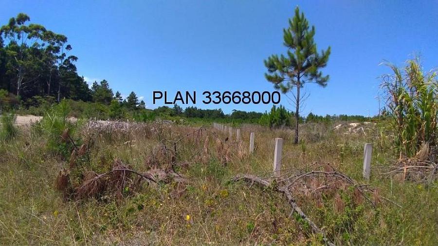 Terreno � venda em Passo de Torres-SC, bairro Bella Torres, com 360,00m� de �rea. Aproveite esta oportunidade! 20