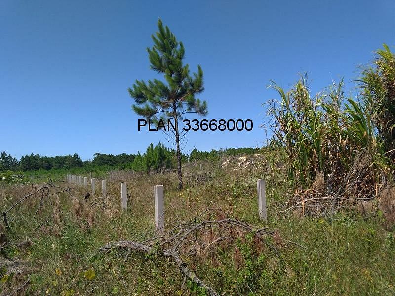 Terreno � venda em Passo de Torres-SC, bairro Bella Torres, com 360,00m� de �rea. Aproveite esta oportunidade! 21