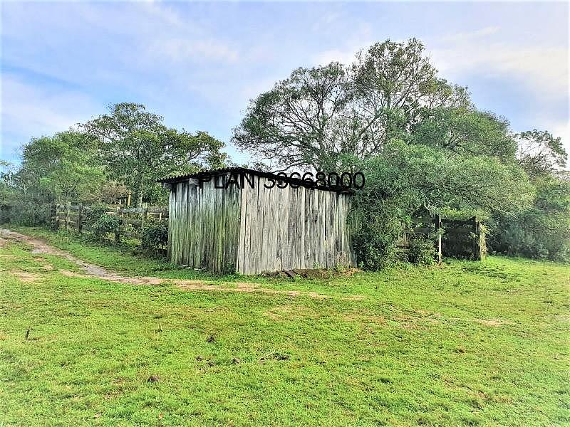 sitio em Mariana Pimentel. 37