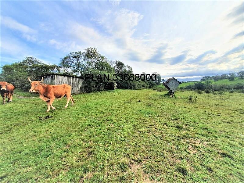 sitio em Mariana Pimentel. 35