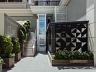 SERENDIPITY EMBRAED 55