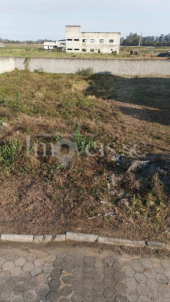 TERRENO HOMA JULIA TISCOSKI — foto 4