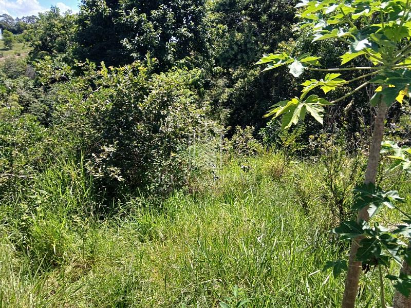 Terreno à venda, 4000m² - Barra do Jucu - Vila Velha/ES — foto 7