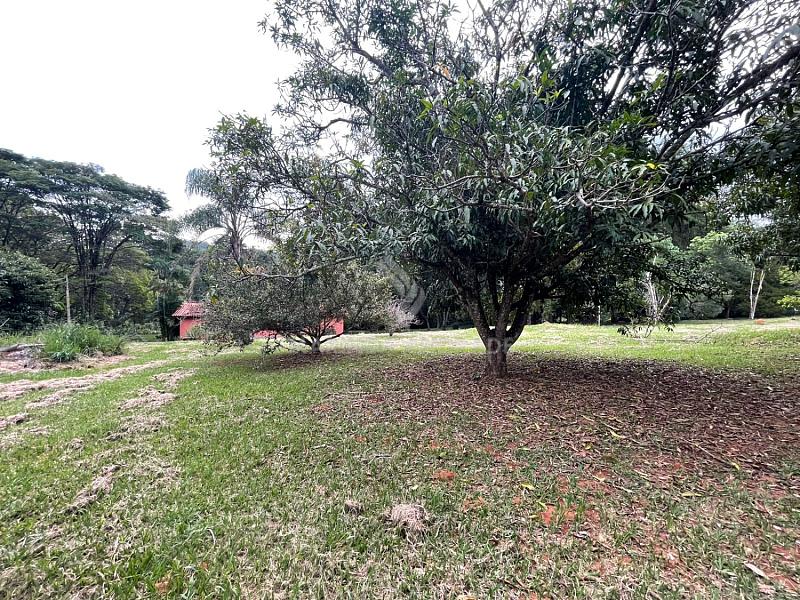 CHÁCARA À VENDA - CAMPO NOVO - BRAGANÇA PAULISTA — foto 10