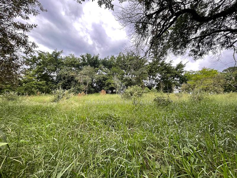 CHÁCARA À VENDA - CAMPO NOVO - BRAGANÇA PAULISTA — foto 12