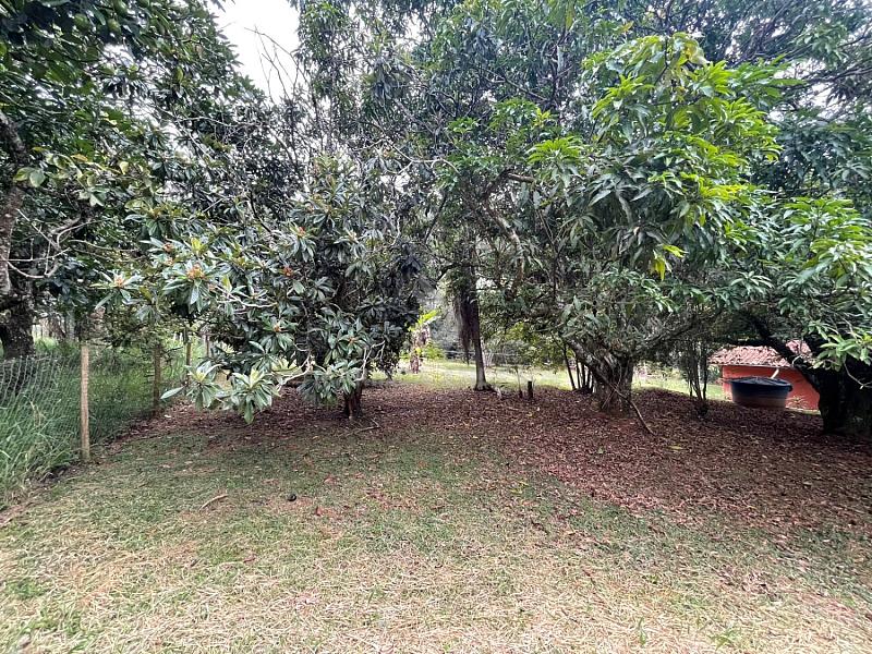 CHÁCARA À VENDA - CAMPO NOVO - BRAGANÇA PAULISTA — foto 13