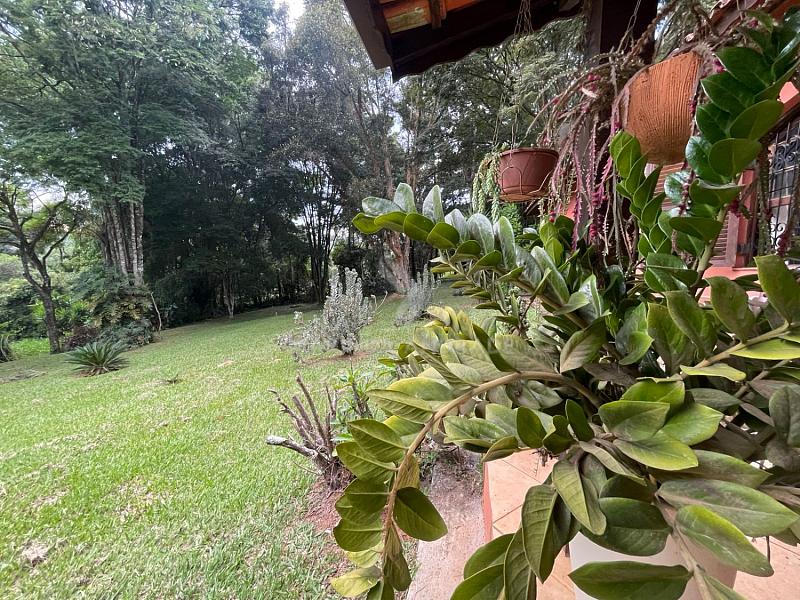 CHÁCARA À VENDA - CAMPO NOVO - BRAGANÇA PAULISTA — foto 4