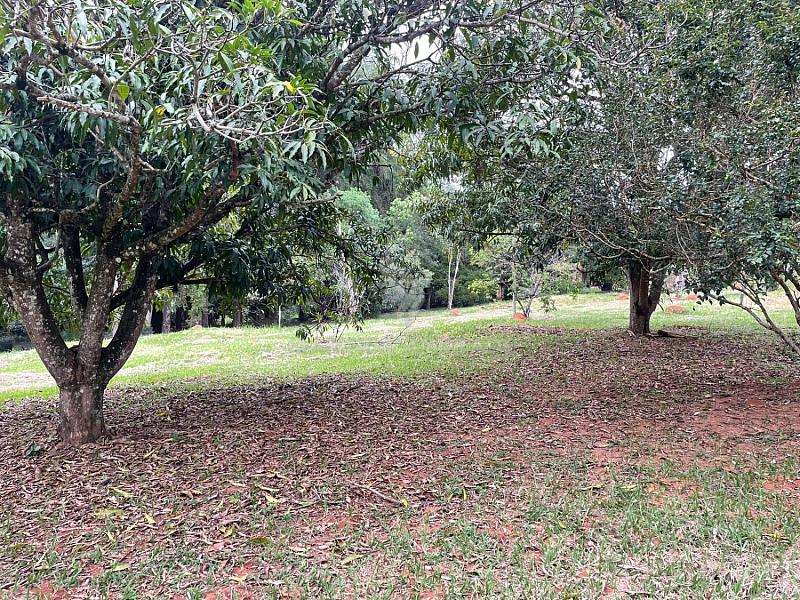 CHÁCARA À VENDA - CAMPO NOVO - BRAGANÇA PAULISTA — foto 8