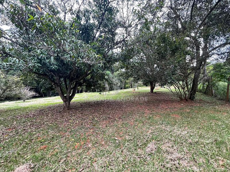 CHÁCARA À VENDA - CAMPO NOVO - BRAGANÇA PAULISTA — foto 9